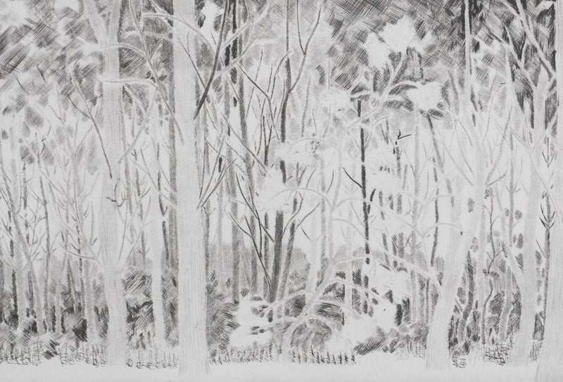 Camille COMBE : Sous les peupliers, Gravure originale signée