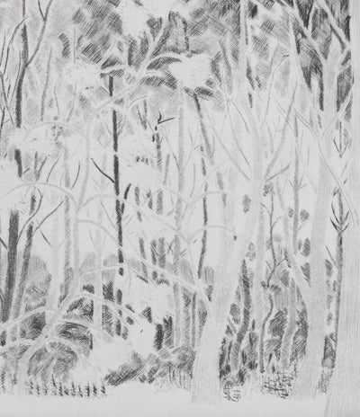 Camille COMBE : Sous les peupliers, Gravure originale signée