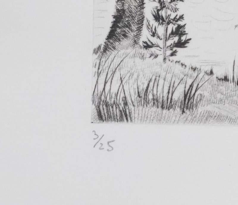 Camille COMBE : Le val sonore, Gravure originale signée
