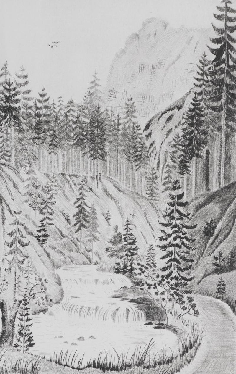Camille COMBE : Le val sonore, Gravure originale signée