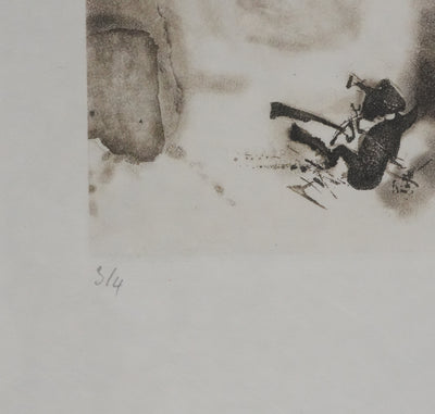 ZAO Wou-Ki : Au fond du lac (Etat gris), Gravure originale