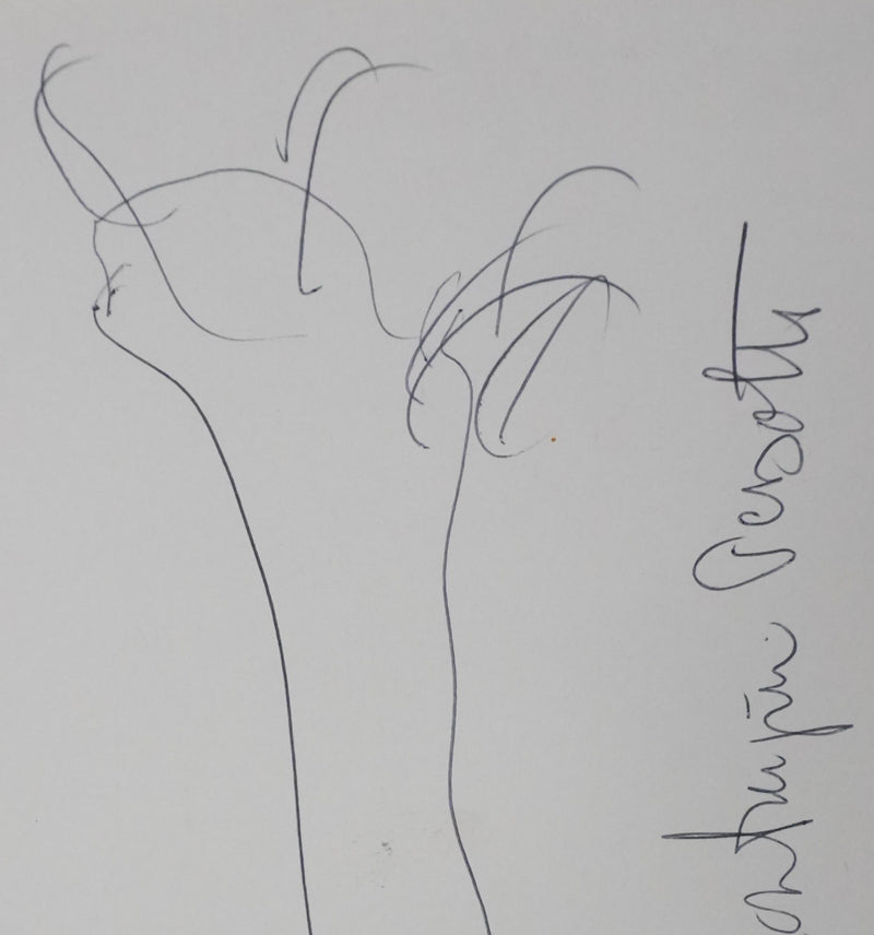 Autographe original de Paul DE MONTAIGNAC DE PESSOTTE (photo de détail 3) - Crédit photo : Galerie Art.Paris