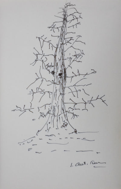 Autographe original de Pierre-Antoine PERROD (vue générale) - Crédit photo : Galerie Art.Paris