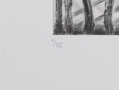 Camille COMBE : Le phare du jardin, Gravure originale signée