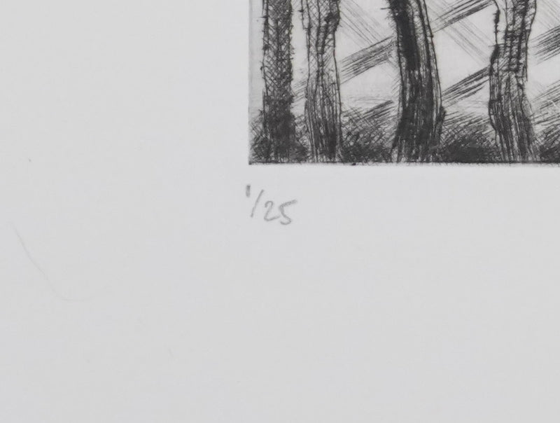 Camille COMBE : Le phare du jardin, Gravure originale signée