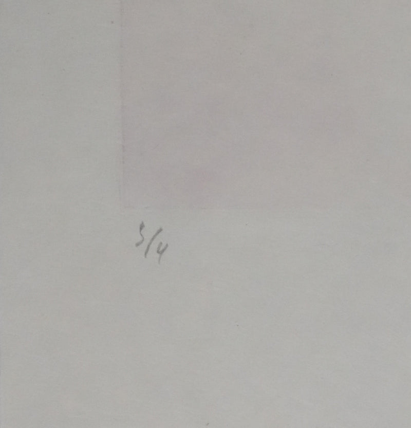 ZAO Wou-Ki : Au fond de l&