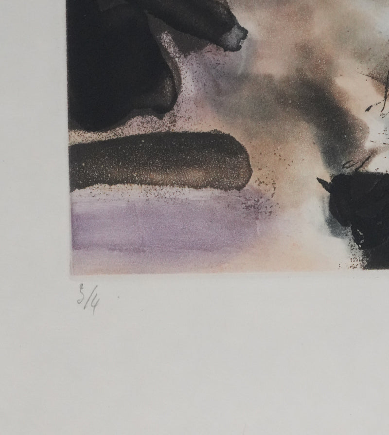 ZAO Wou-Ki : Reflets de l&