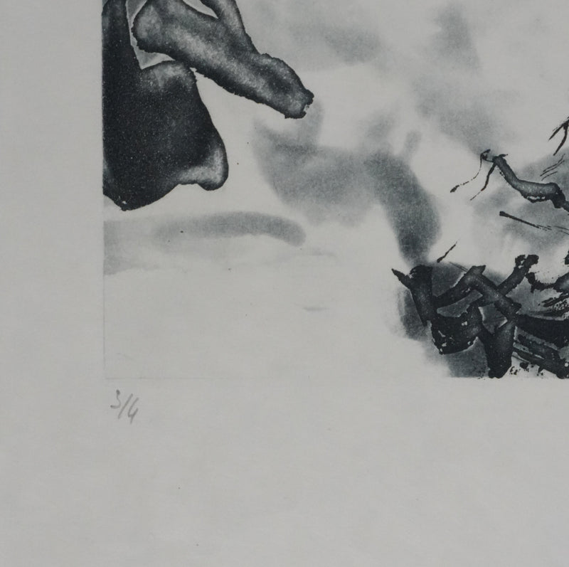 ZAO Wou-Ki : Reflets de l&