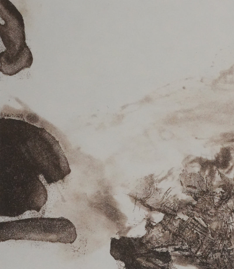 ZAO Wou-Ki : Reflets de l&