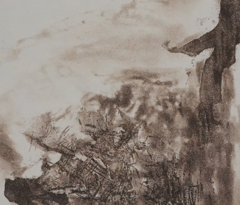 ZAO Wou-Ki : Reflets de l&