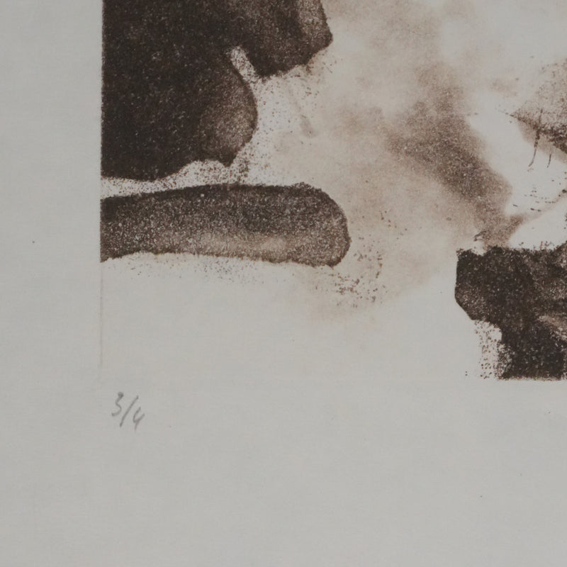 ZAO Wou-Ki : Reflets de l&