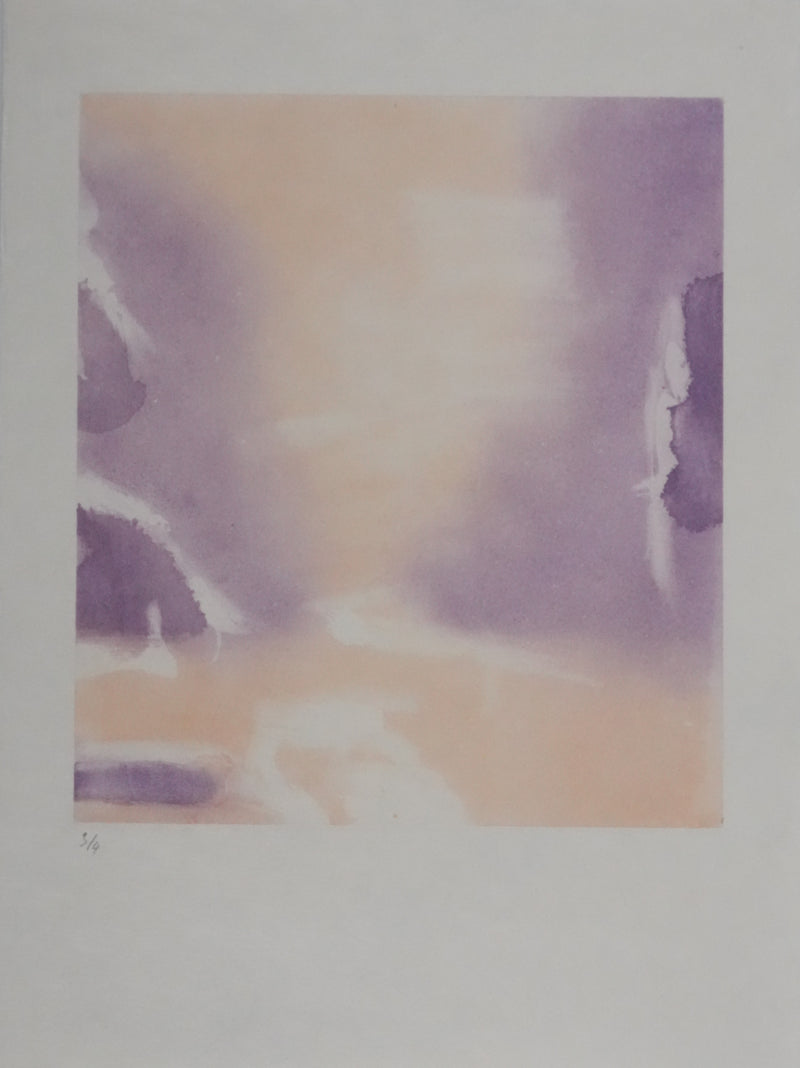 ZAO Wou-Ki : Reflets de l&