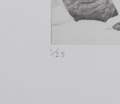 Camille COMBE : Surprise dans les dunes, Gravure originale signée