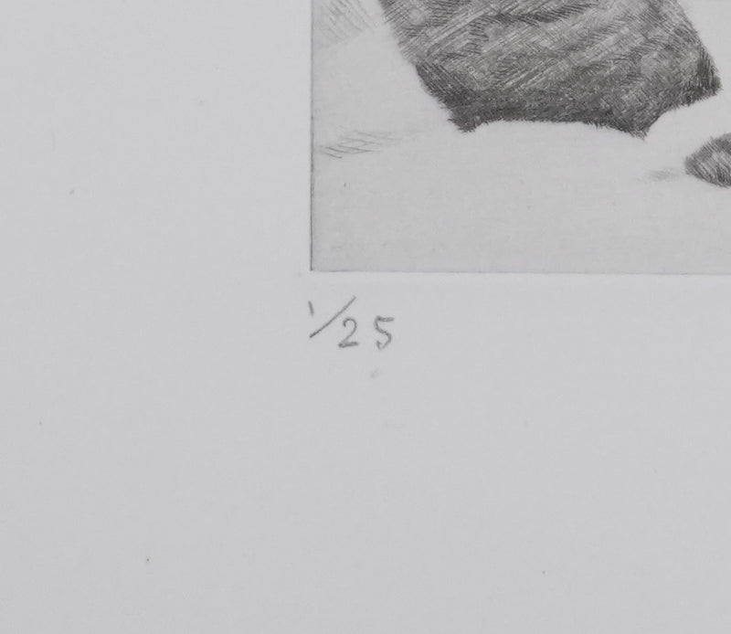 Camille COMBE : Surprise dans les dunes, Gravure originale signée