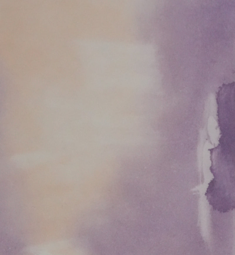 ZAO Wou-Ki : Reflets de l&