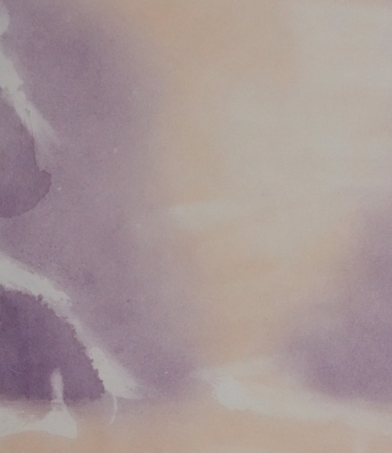 ZAO Wou-Ki : Reflets de l&