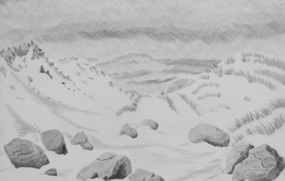 Camille COMBE : Surprise dans les dunes, Gravure originale signée