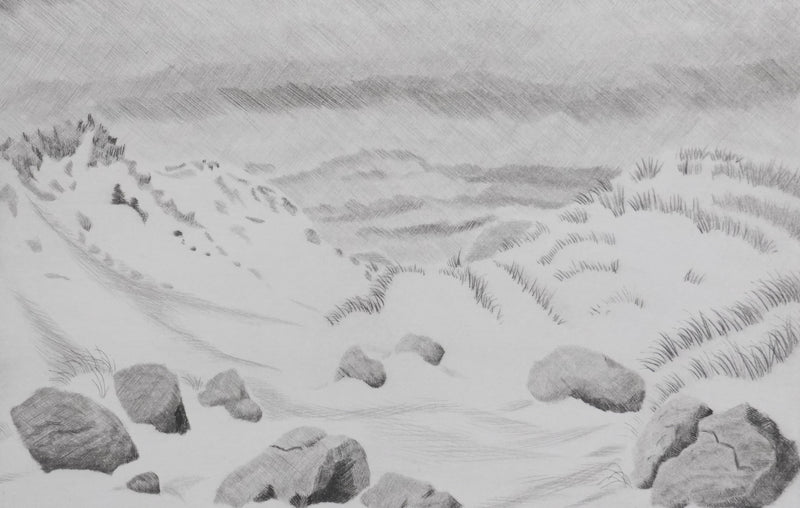 Camille COMBE : Surprise dans les dunes, Gravure originale signée