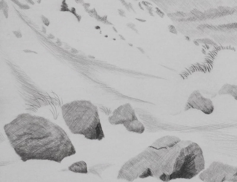 Camille COMBE : Surprise dans les dunes, Gravure originale signée