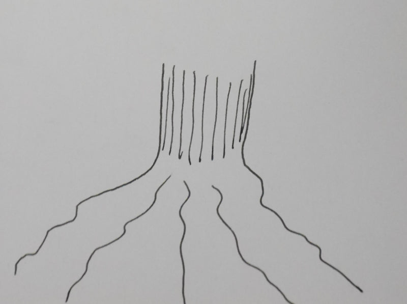 Autographe original de Camille LEMERCIER (photo de détail 2) - Crédit photo : Galerie Art.Paris