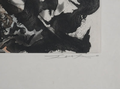 ZAO Wou-Ki : Obscurité du lac (Japon), Gravure originale signée