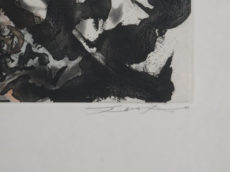 ZAO Wou-Ki : Obscurité du lac (Japon), Gravure originale signée