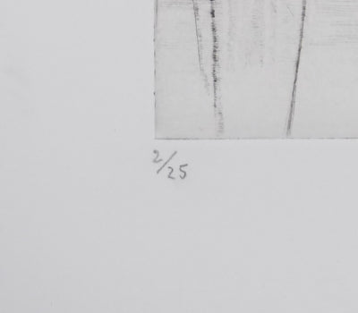 Camille COMBE : Transparences, Gravure originale signée