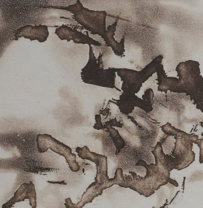 ZAO Wou-Ki : Obscurité du lac (Etat brun), Gravure originale