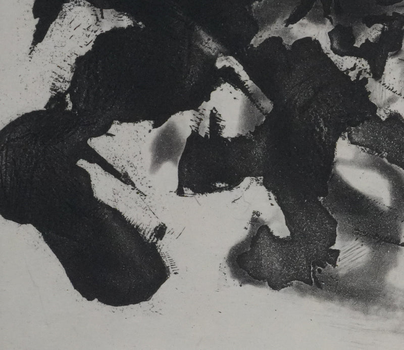 ZAO Wou-Ki : Obscurité du lac (Etat noir), Gravure originale