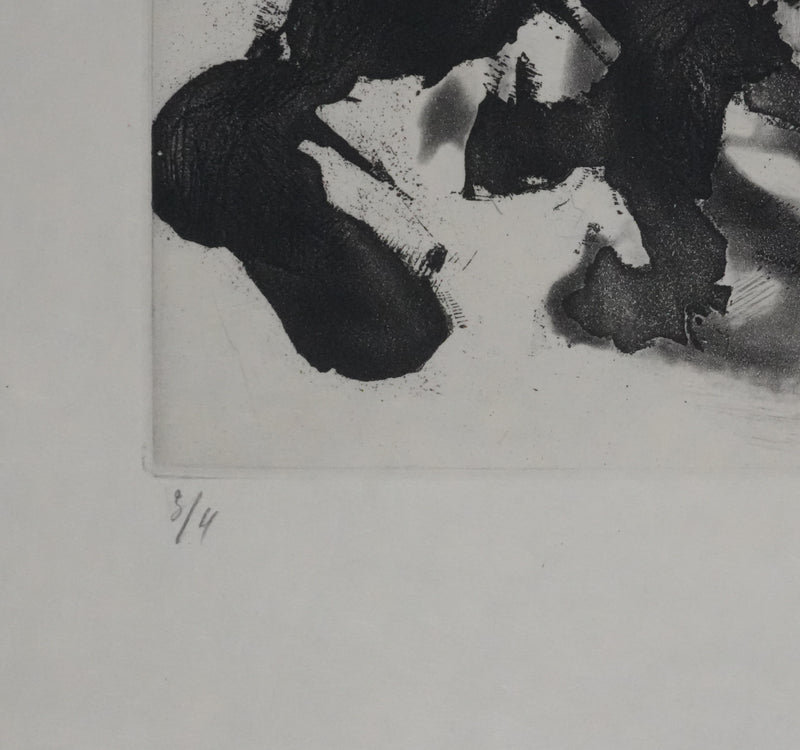 ZAO Wou-Ki : Obscurité du lac (Etat noir), Gravure originale