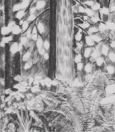 Camille COMBE : Dans le parc, Gravure originale signée