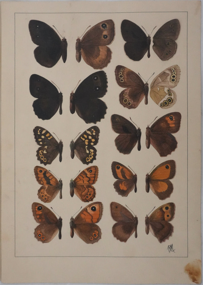 Roger METAYE : Petits papillons marrons et oranges, Aquarelle originale signée