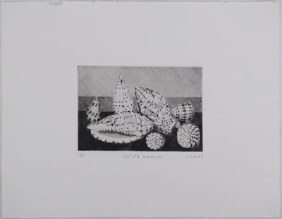 Camille COMBE : Voluta musica, Gravure originale signée