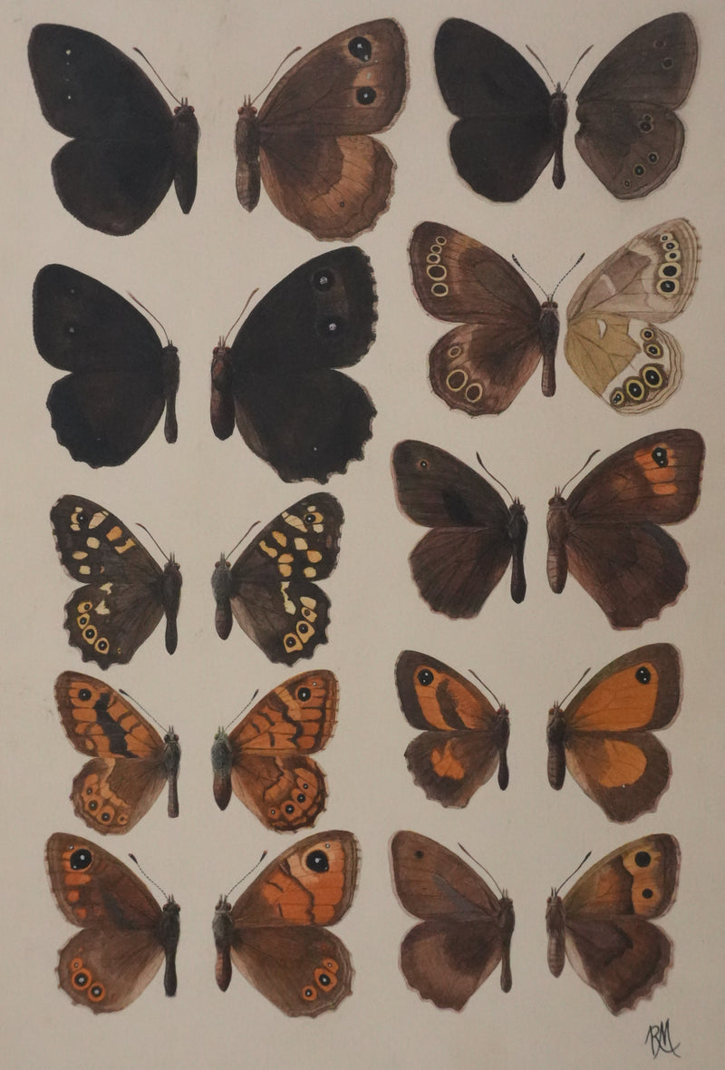 Roger METAYE : Petits papillons marrons et oranges, Aquarelle originale signée