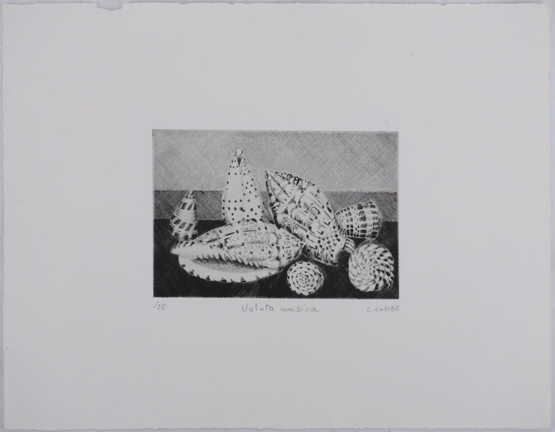 Camille COMBE : Voluta musica, Gravure originale signée