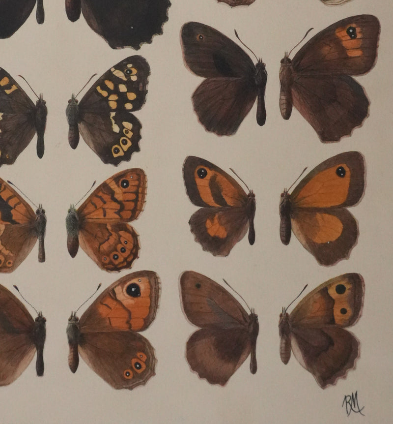 Roger METAYE : Petits papillons marrons et oranges, Aquarelle originale signée