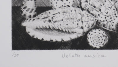 Camille COMBE : Voluta musica, Gravure originale signée