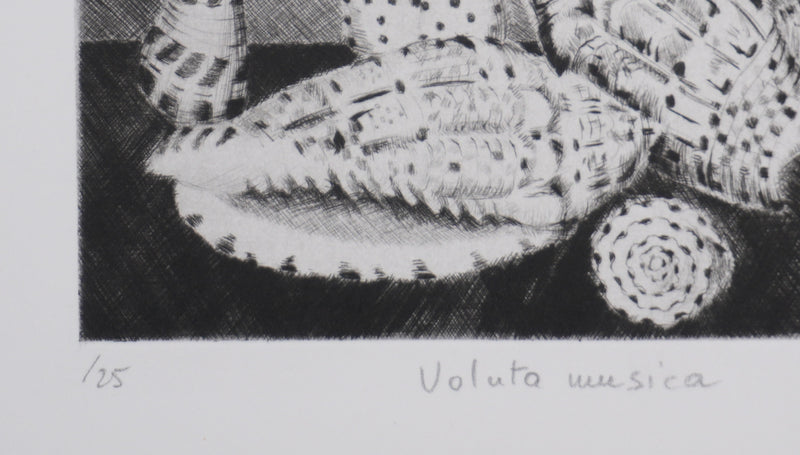 Camille COMBE : Voluta musica, Gravure originale signée