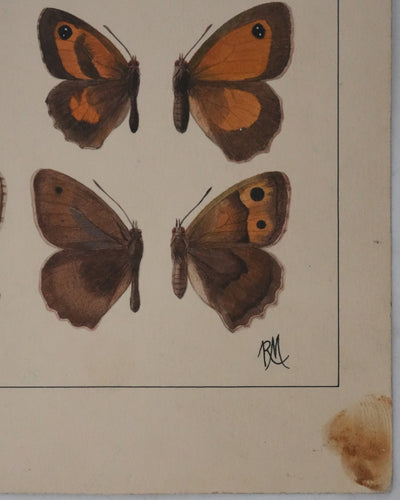 Roger METAYE : Petits papillons marrons et oranges, Aquarelle originale signée