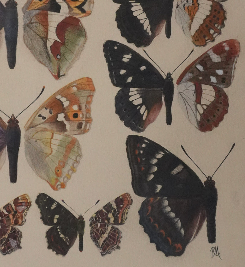 Roger METAYE : Papillons marrons et violets, Aquarelle originale signée