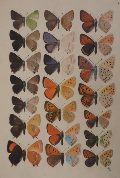 Roger METAYE : Petits papillons colorés, Aquarelle originale signée