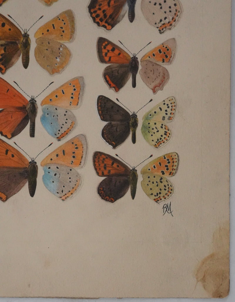 Roger METAYE : Petits papillons colorés, Aquarelle originale signée