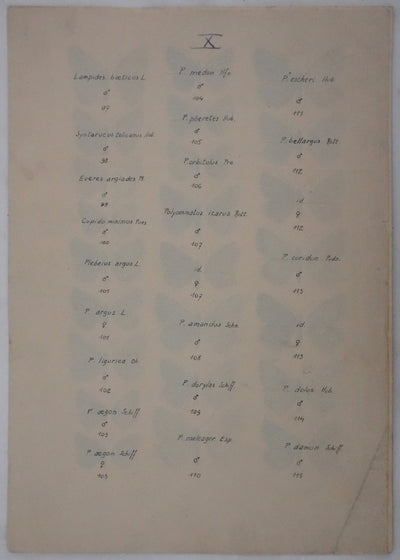 Roger METAYE : Argus bleu, Doublure jaune et Azuré, Aquarelle originale signée