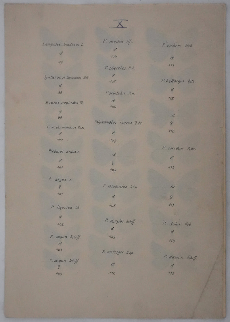 Roger METAYE : Argus bleu, Doublure jaune et Azuré, Aquarelle originale signée