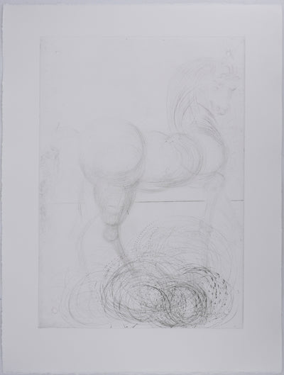 Salvador DALI : Roi je t'attends à Babylone, Ensemble de 14 gravures originales