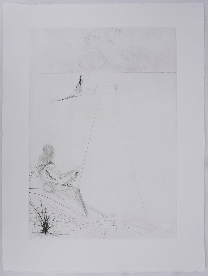 Salvador DALI : Roi je t&