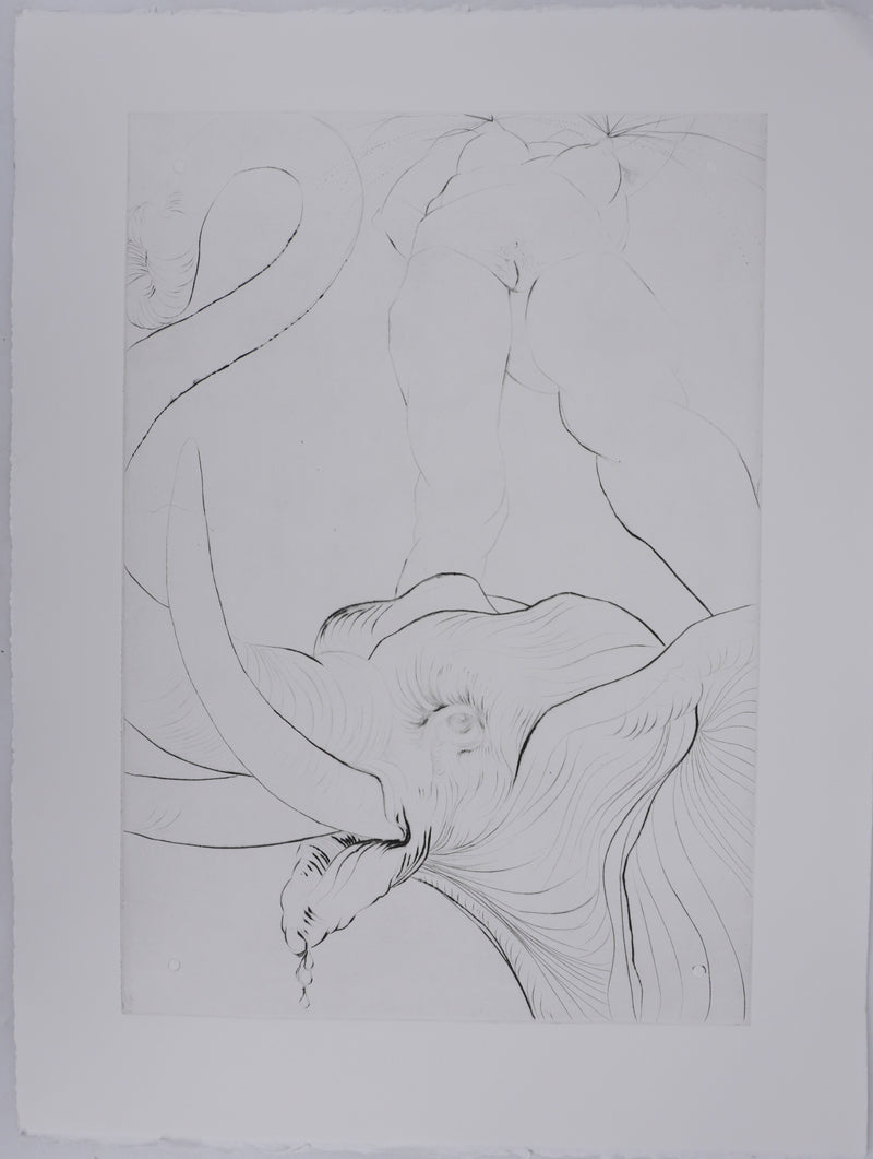 Salvador DALI : Roi je t&