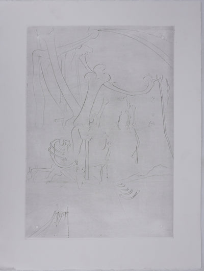 Salvador DALI : Roi je t'attends à Babylone, Ensemble de 14 gravures originales