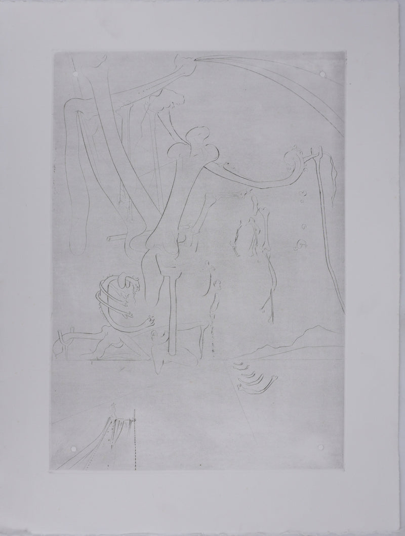 Salvador DALI : Roi je t&