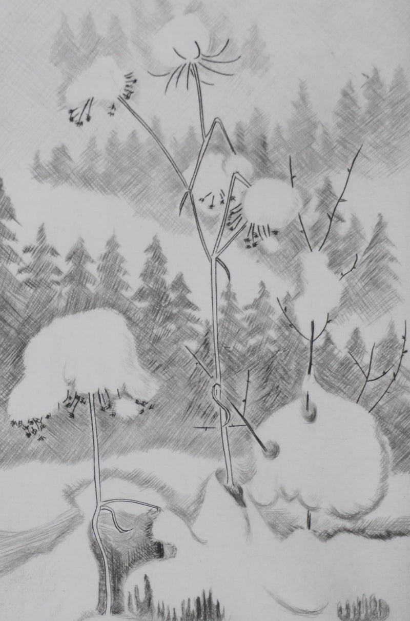 Camille COMBE : En neige, Gravure originale signée